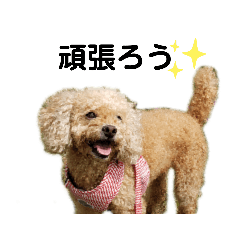 わんこキャロルの大冒険その3