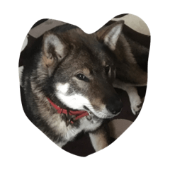 プリンセスふーこ