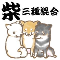 柴犬スタンプ9～柴～三種混合