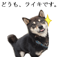 ライキさんのつぶやき