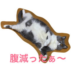 こはるちゃん女の子