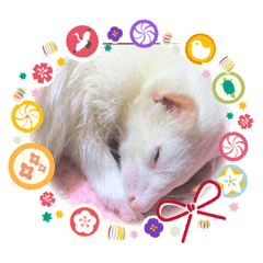 色んな組み合わせ♡