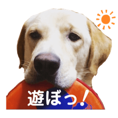 ポンカスちゃんとゆかいな仲間たち2