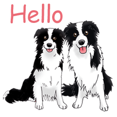 白黒ボーダーコリーのスタンプ 2