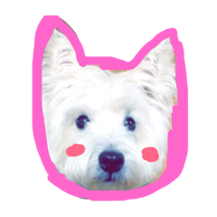 ウェスティンのアンティー君