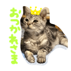 うちのれんちゃん♥