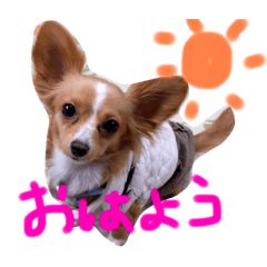 バニラちゃん❤︎