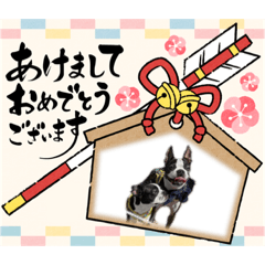 アピマオネの年末年始