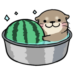 夏はスイスイ♪カワウソさん