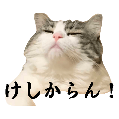 ハナサラ姉妹Ⅳ