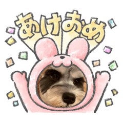 かわいいシュナウザースタンプ