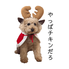 さっちゃんの365日改