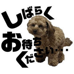 プロドのありのままPART3