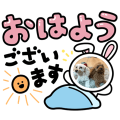 チコちゃん&ラオくん