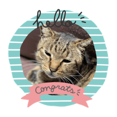 ほのぼの寺子屋2