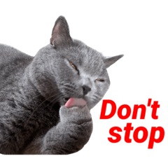 可愛い猫のNJスタンプ第三弾‼︎