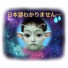 わが家の愉快な御一行様