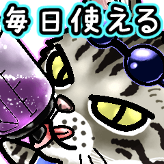 エジプシャンマウな猫⑩～☆毎日使える！