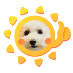 プリンくんなのだっ！☆2