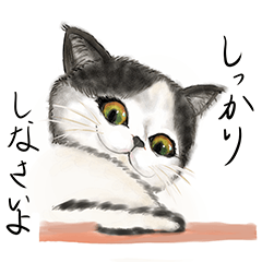 ひにっくねこ