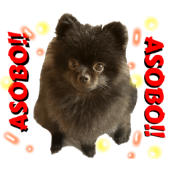 オラの一言シリーズ