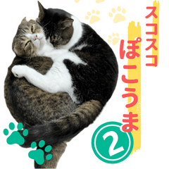 スコスコぽこ太郎＆うま次郎スタンプ２