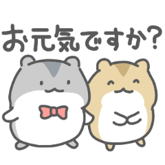 ジャンガリアンハムスターの日常色々