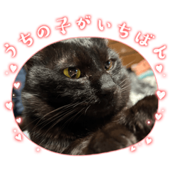 寝坊助 クロ その④