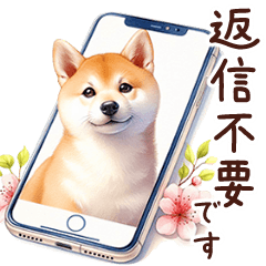 柴ちゃん④「連絡する」の巻き　(省スペ有)