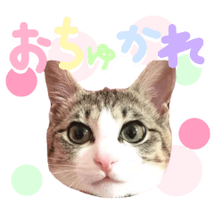 ❁むぎちゃん❁