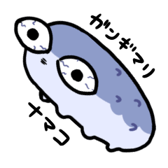 ガンギマってるナマコ