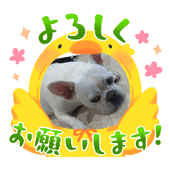 フレブル　トラ　ブル