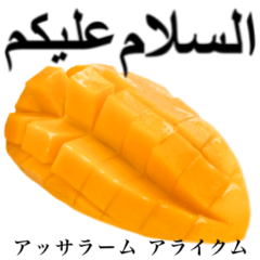 タイマンゴー 【アラビア語】