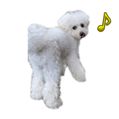 ましゅとチーコ