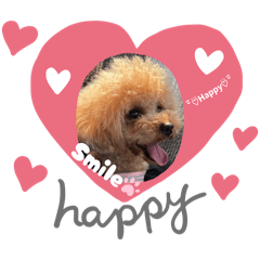 トイプードル からあげちゃん2025夏