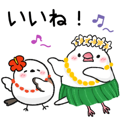 もち文鳥とシマエナガちゃんの夏★