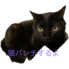 俺猫！！スタンプ好評発売中