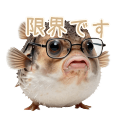 すぐ膨らむ！限界フグの圧