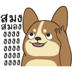 Gigi & Friends: Work Hard, Nap Harder