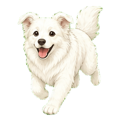 ふわふわ白犬ボーダーコリーの日常スタンプ
