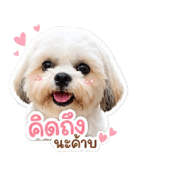 JiabJiab_20260506230732