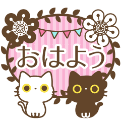 大人かわいい上品な白黒猫