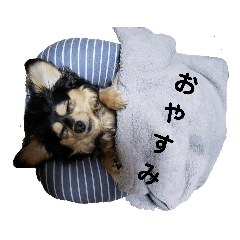 マロンとお友だち