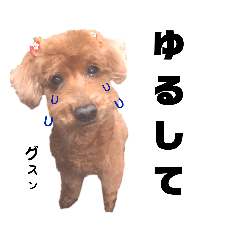 わたさん、わちゃわちゃ日常スタンプ 2