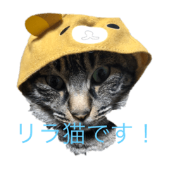 ネコスタンプ！！！！！