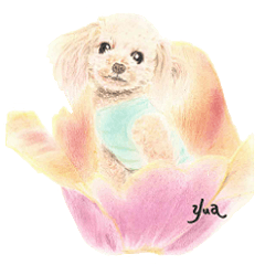 あまえんぼうジョシュア3