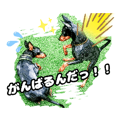 トイマン☆うーさん時々たつパパ