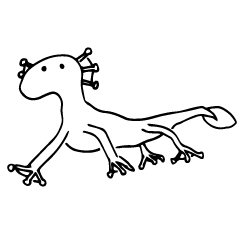 Solow is learning to draw