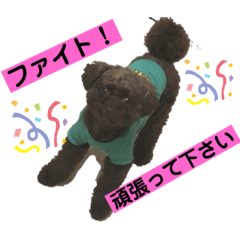 ひじきさんとゆかいな家族 vol.2