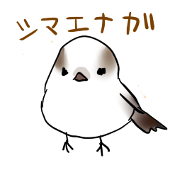 かわいい鳥・シマエナガスタンプ